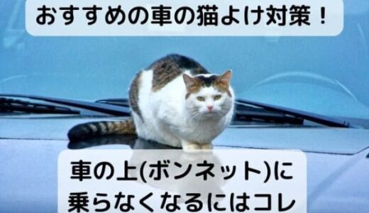 おすすめの車の猫よけ対策！車の上(ボンネット)に乗らなくなるにはコレ